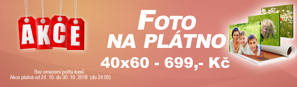 Foto na plátno 40x60 - 699,- Kč